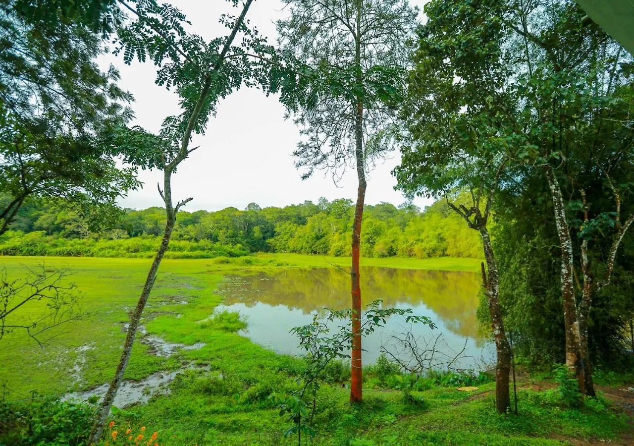 Resort Tusker Inn Wayanad Forest Villa By Voye Homes
